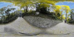 08银杏山道_白岩寺