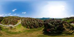 218毕节市百里杜鹃景区_百里杜鹃百花坪