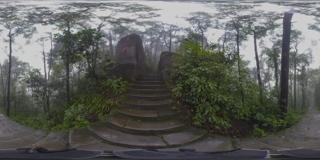 重庆歌乐山森林公园_05.JPG