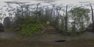 重庆歌乐山森林公园_06.JPG