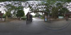 仙藤园