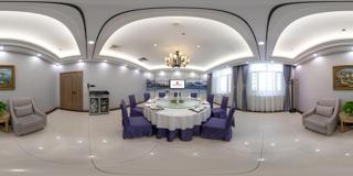 vip6