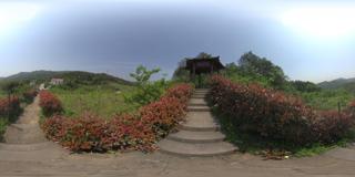 重庆虎峰山_09