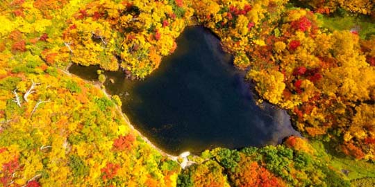 国家环境保护机动车污染控制与模拟重点实验室（成都基地）